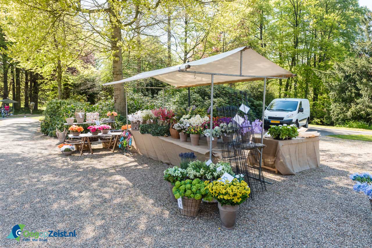 Plantjesmarkt in de tuin van Slot Zeist is een traditie