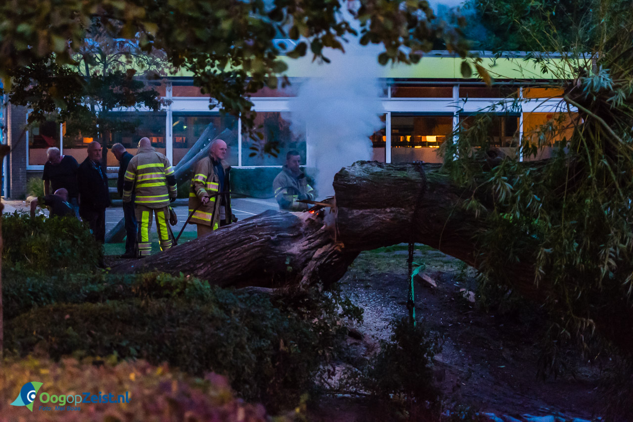 Lindenboom in brand voor Basisschool de Oude Sluis