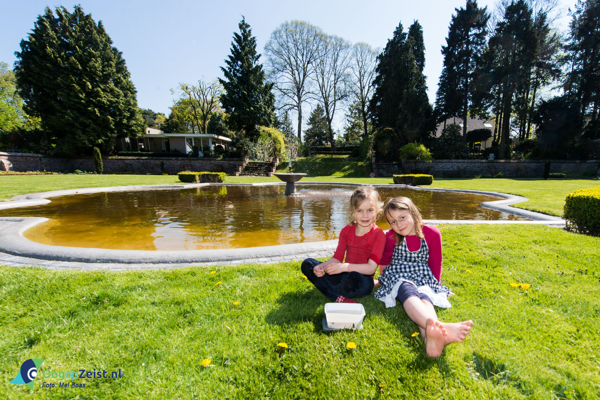 Kikkervisjes zoeken in de dieptetuin