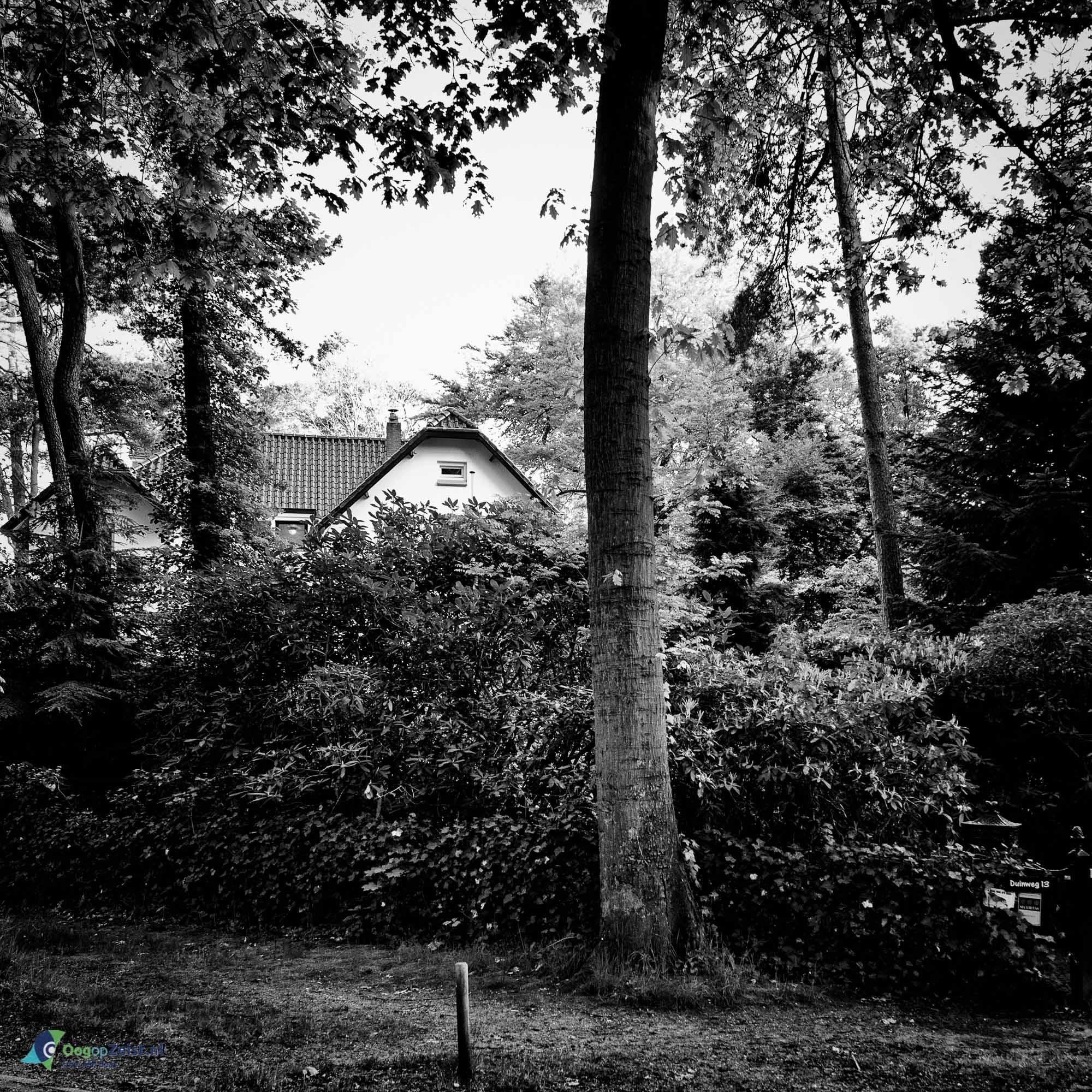 Henriette Sophia Carolina Clarisse van Lier - Duinweg 13