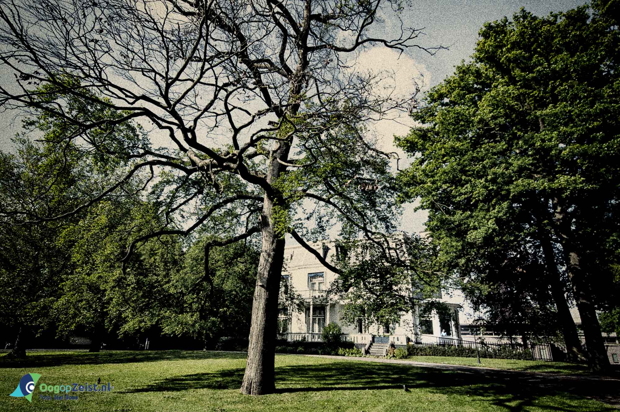 Gouden jaren - Het Behouden Huis Villa Blanca Zeist