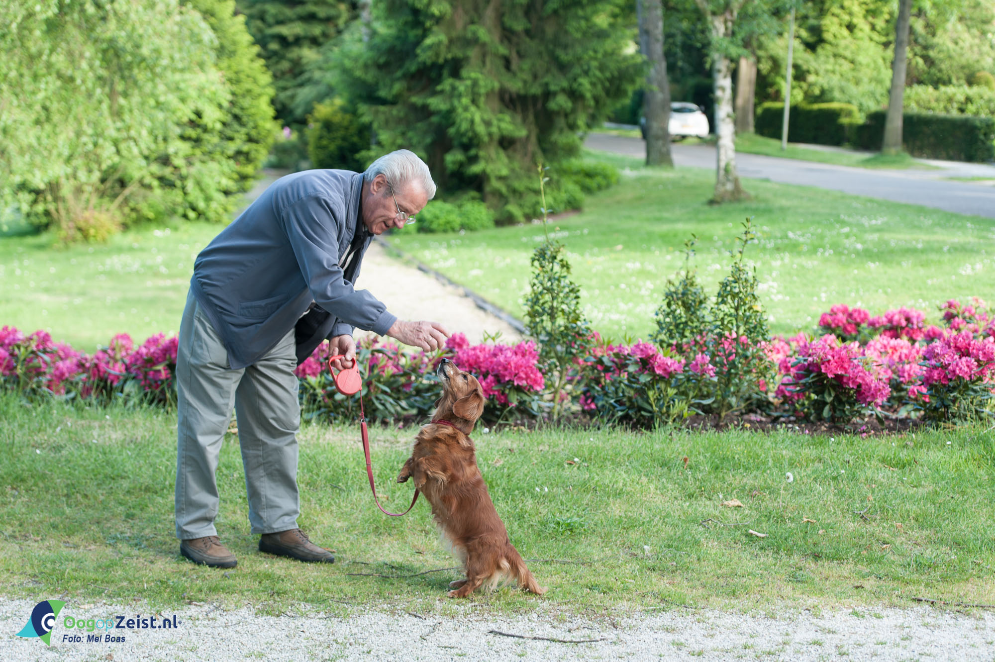 Meneer Verseveld van de Prinses Margrietlaan