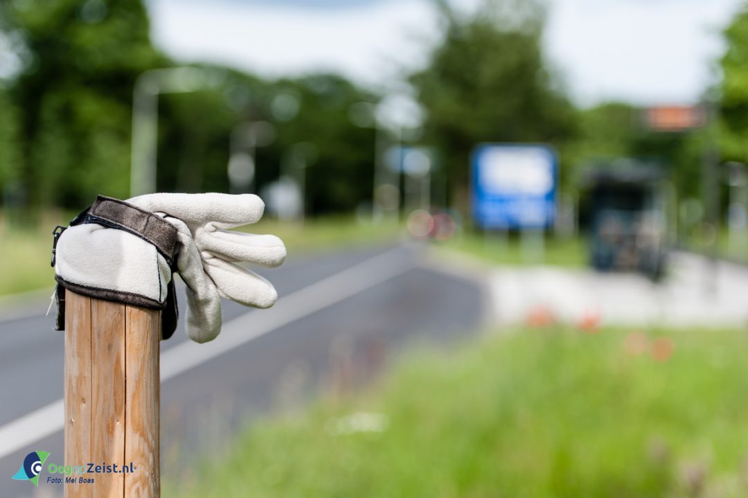 Overblijfselen van de Winter - OogOpZeist.nl