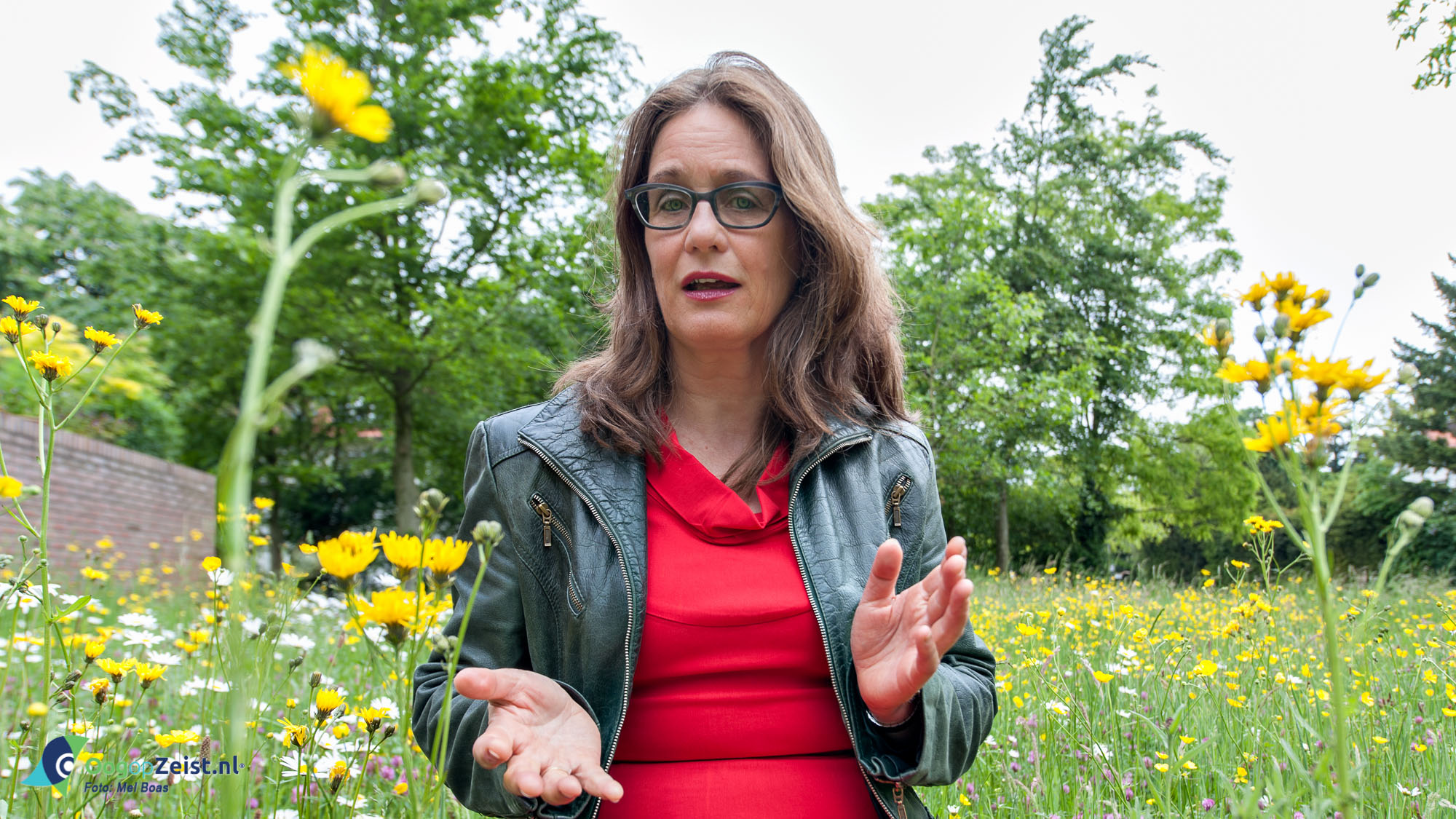 Diet Groothuis is zwerfboek schrijfster van de maand.