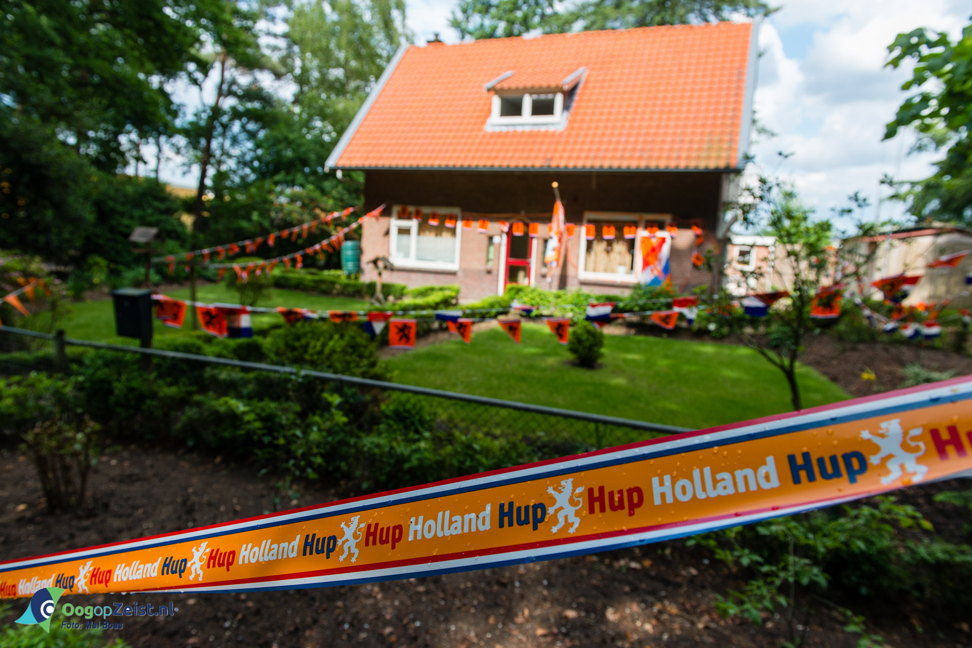 Het Oranje gevoel van .. Sterrenberg