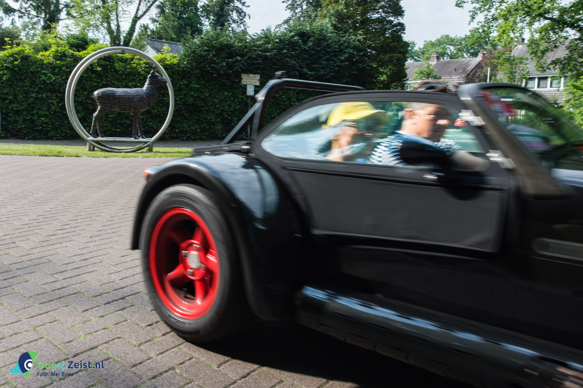 Heilige koe - bronzen kalf - Oog op Zeist