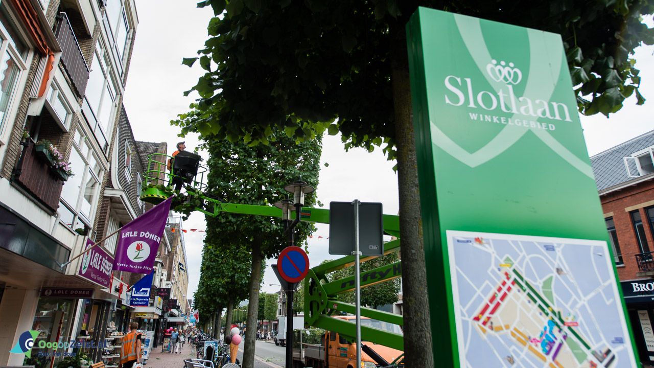 Bomen snoeien op de Slotlaan