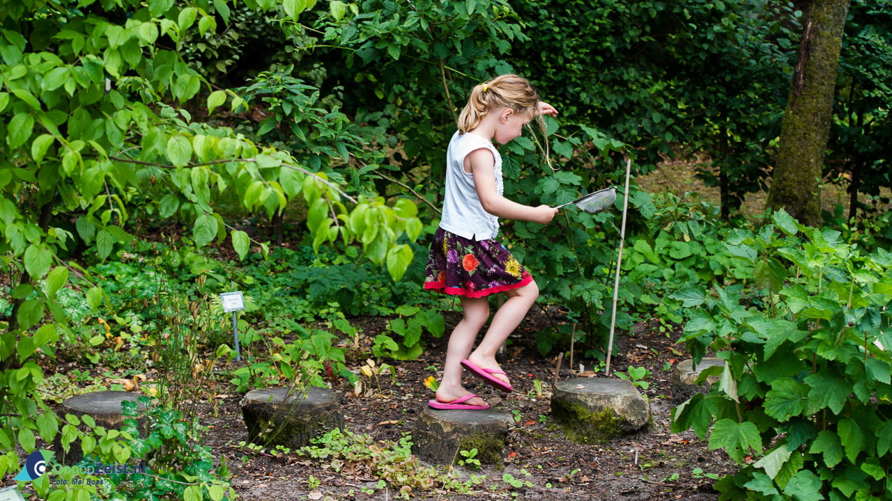 Cursus eten uit de natuur bij de Boswerf Plantjes knippen