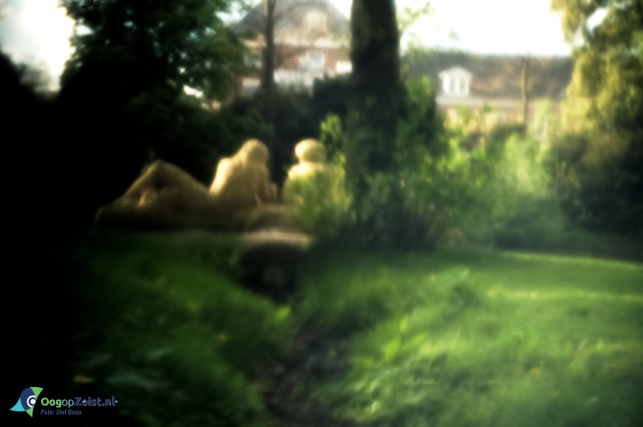 Pinhole3: Jeugd in Zeist