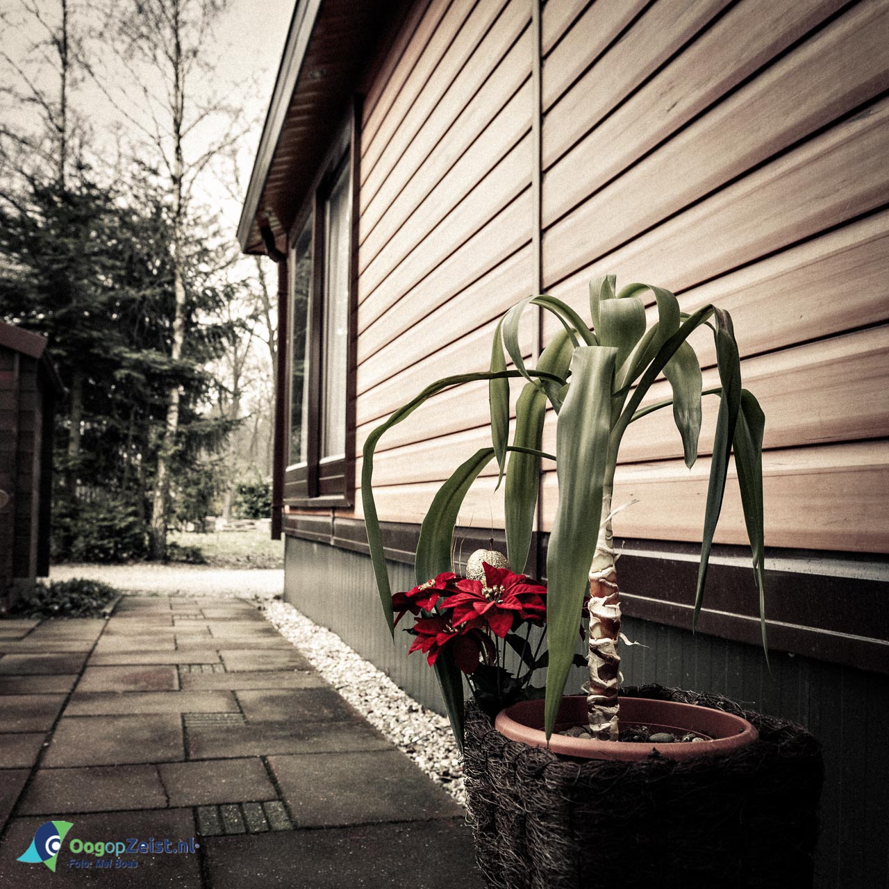 Camping Dijnselburg waar voornamelijk buitenlandse arbeiders wonen.