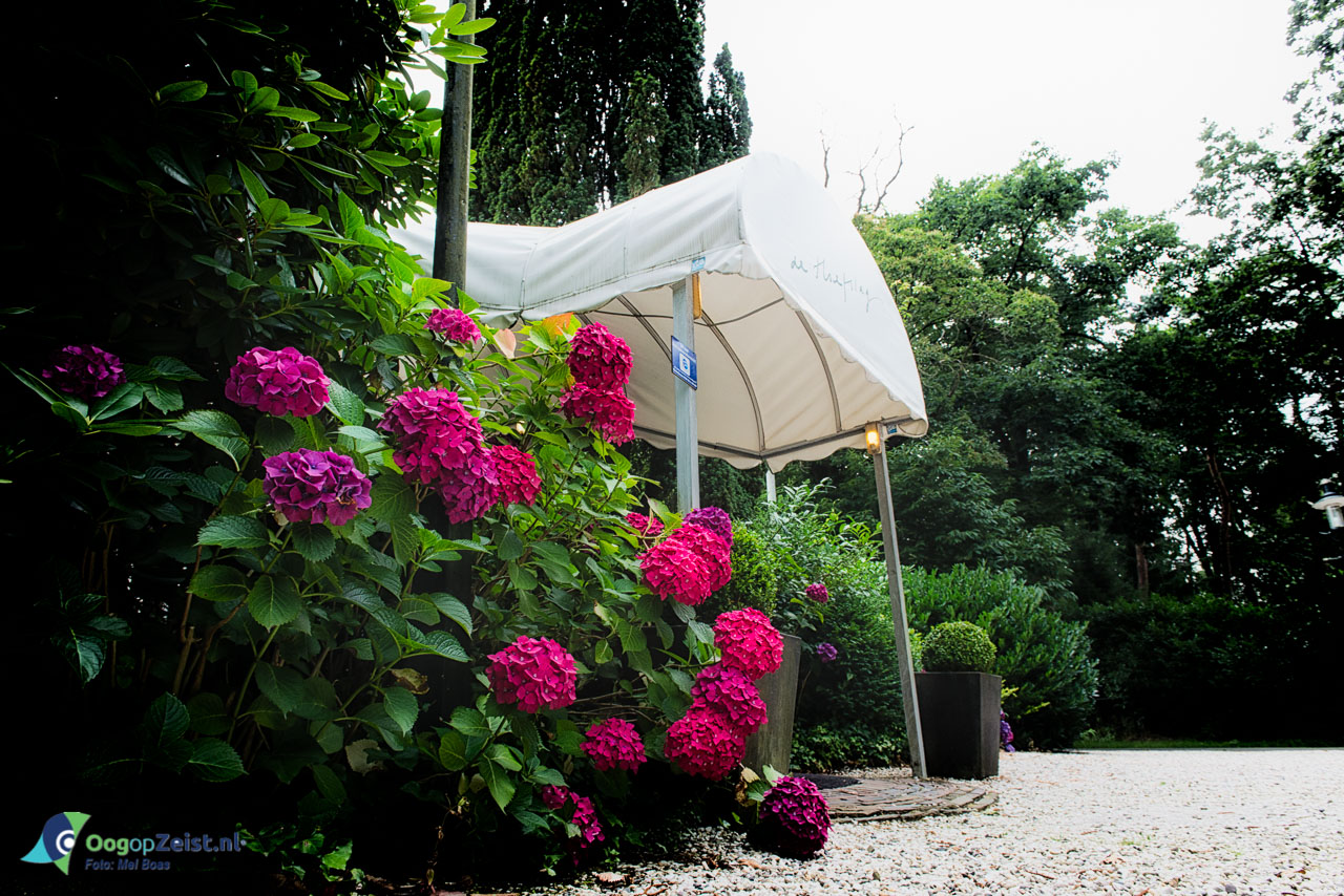 De hoefslag - Bos en Duin