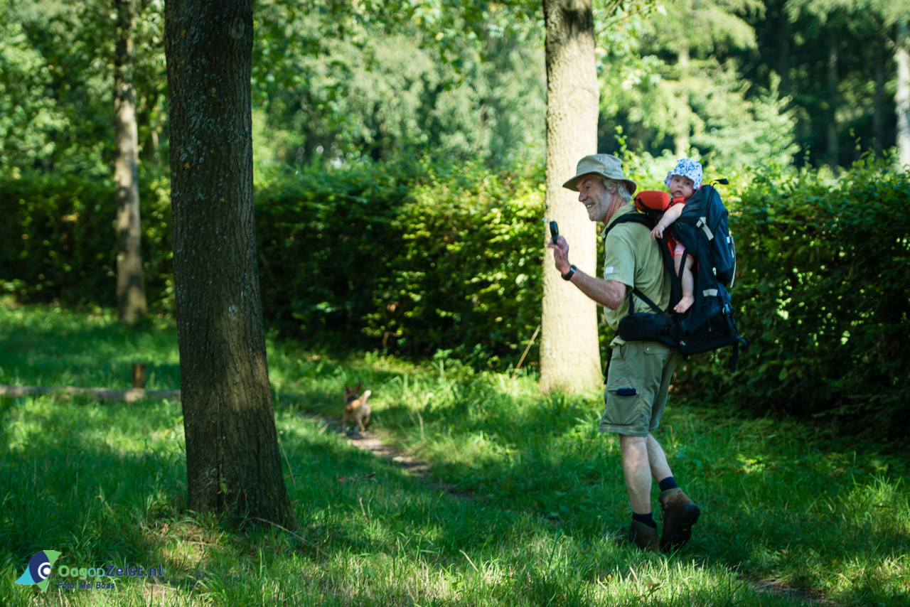 Wandellen met achteruit kijkspiegel