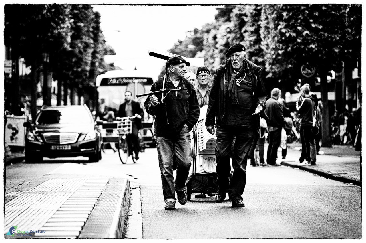 Stoere zeebonken op de Slotlaan