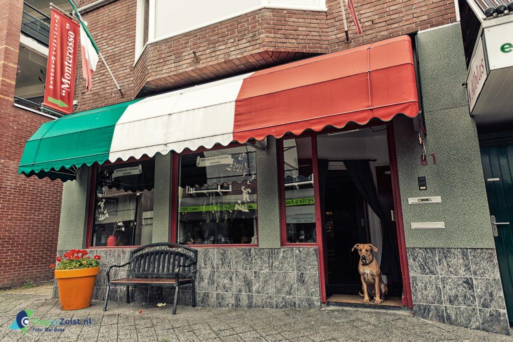 De hond van Restaurant Monterosso op de Voorheuvel