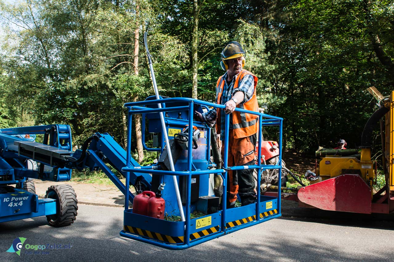 Snoeiwerk in opdracht van de gemeente Zeist