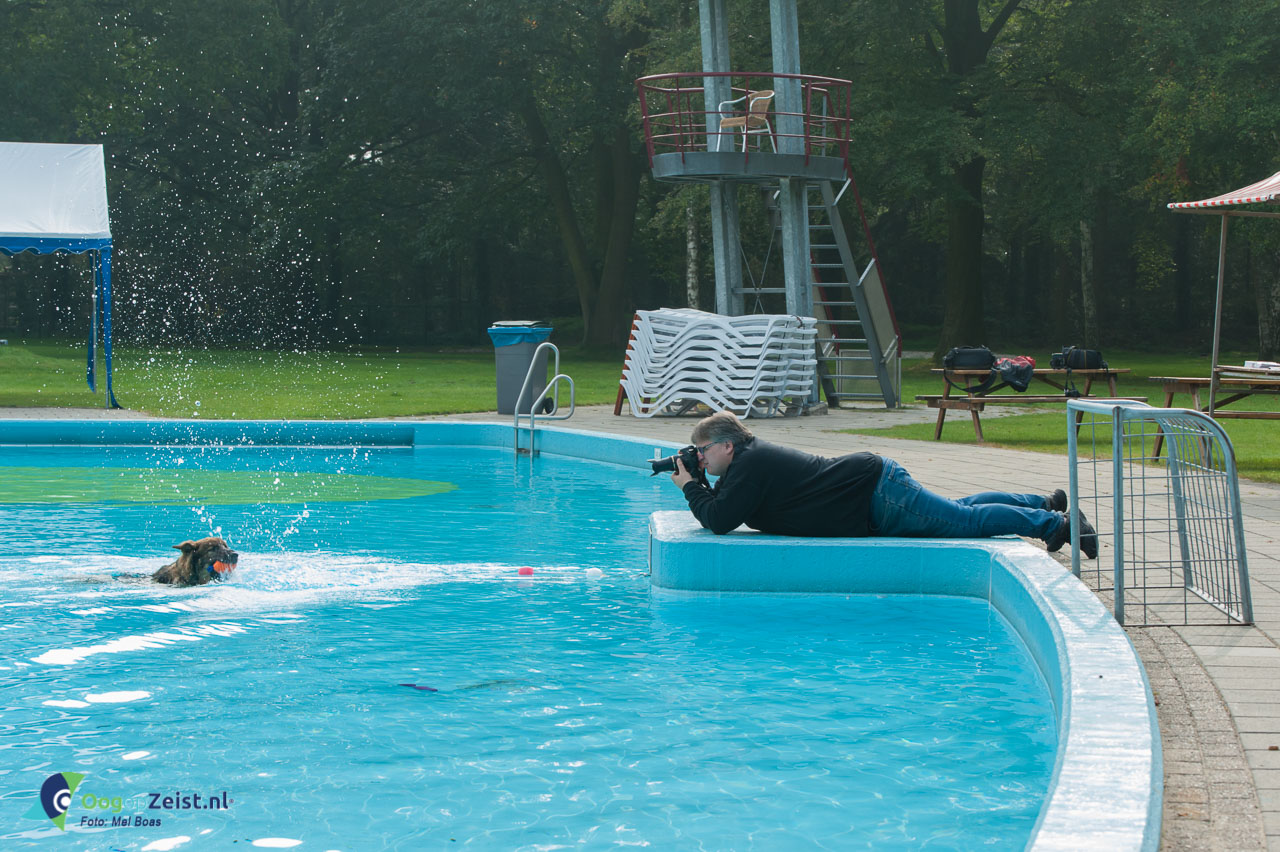 Honden zwemmen in Zwembad Dijnselburg