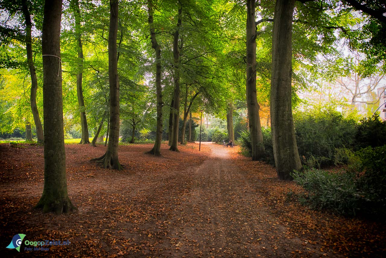 Herfst in het Walkartpark