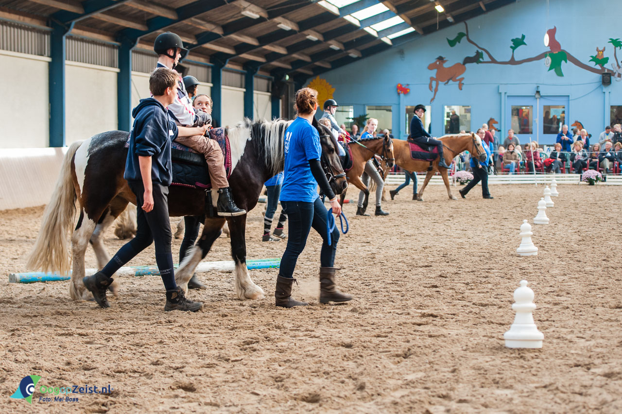 Opendag Prinses Maxima Manege in Den Dolder. met paarden