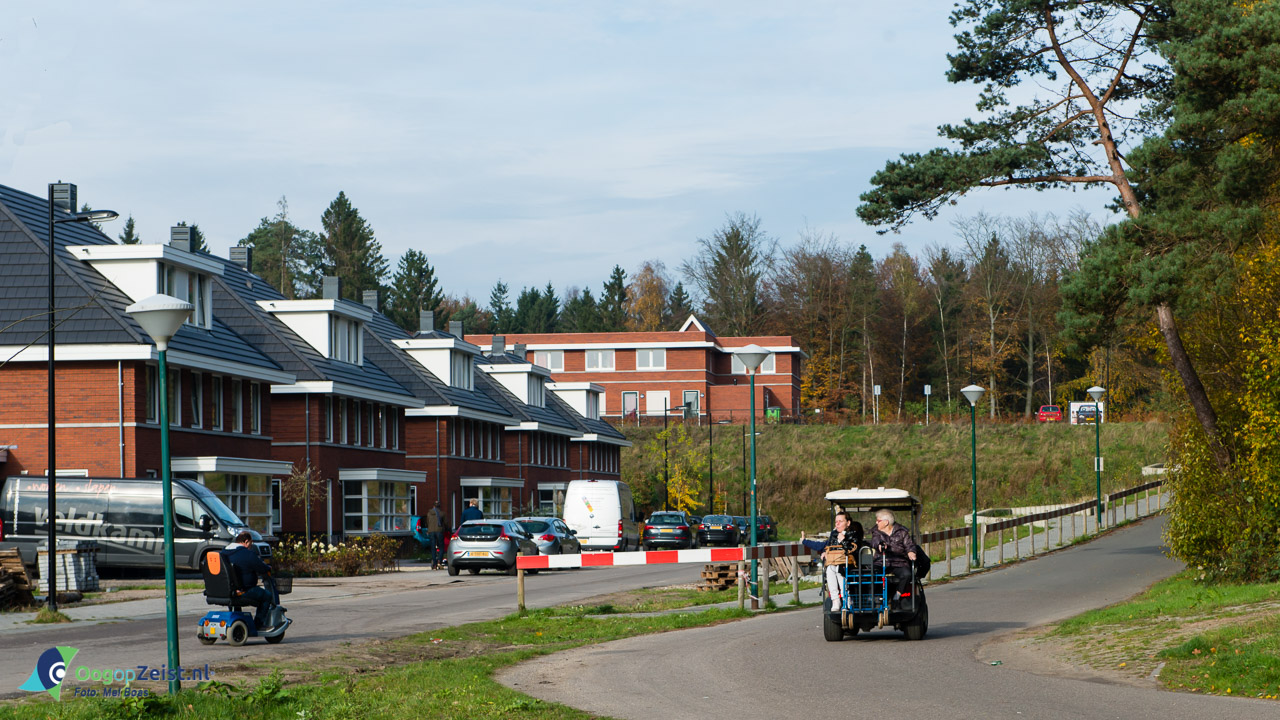 Sterrenberg,abrona,golfkarretje