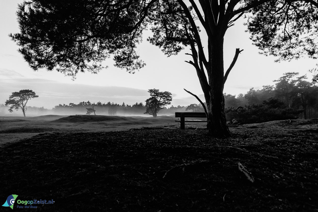 Heidestein bankje om te overpeinzen