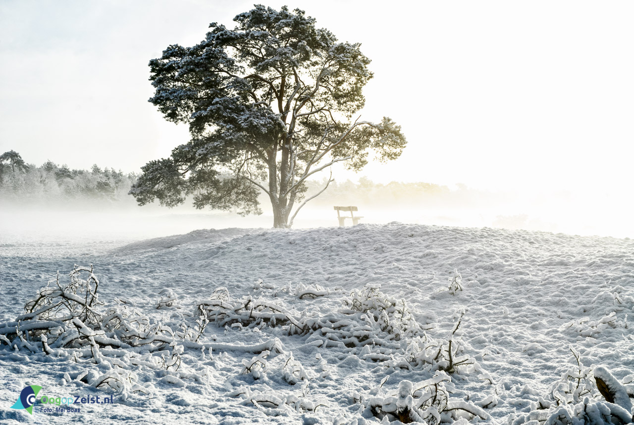 Heidestein in de Sneeuw met pasen 2008