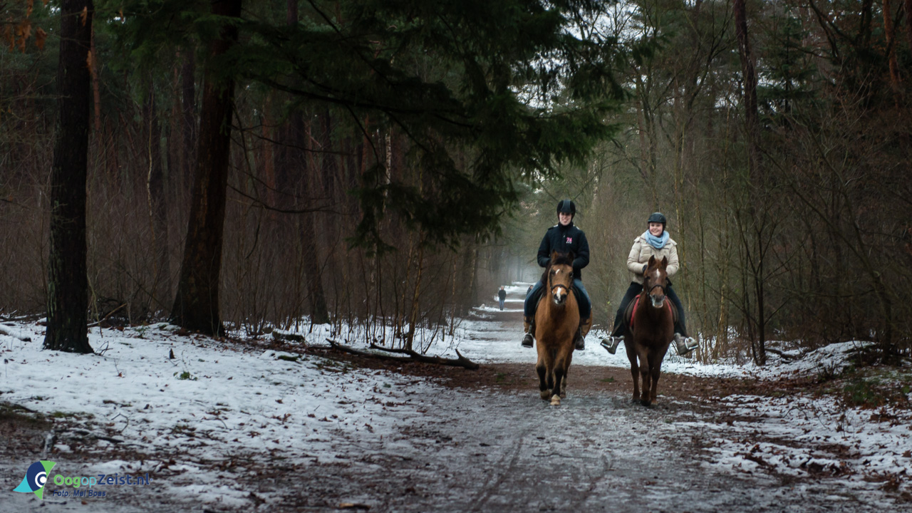 bos sneeuw, doorspuiten gemeente Zeist, Kerkstraat, Meisjes, paard, paardrijden, riolering, Riool, ruiters, Sfeerbeelden., sneeuwval, Zeist, Zeister woud