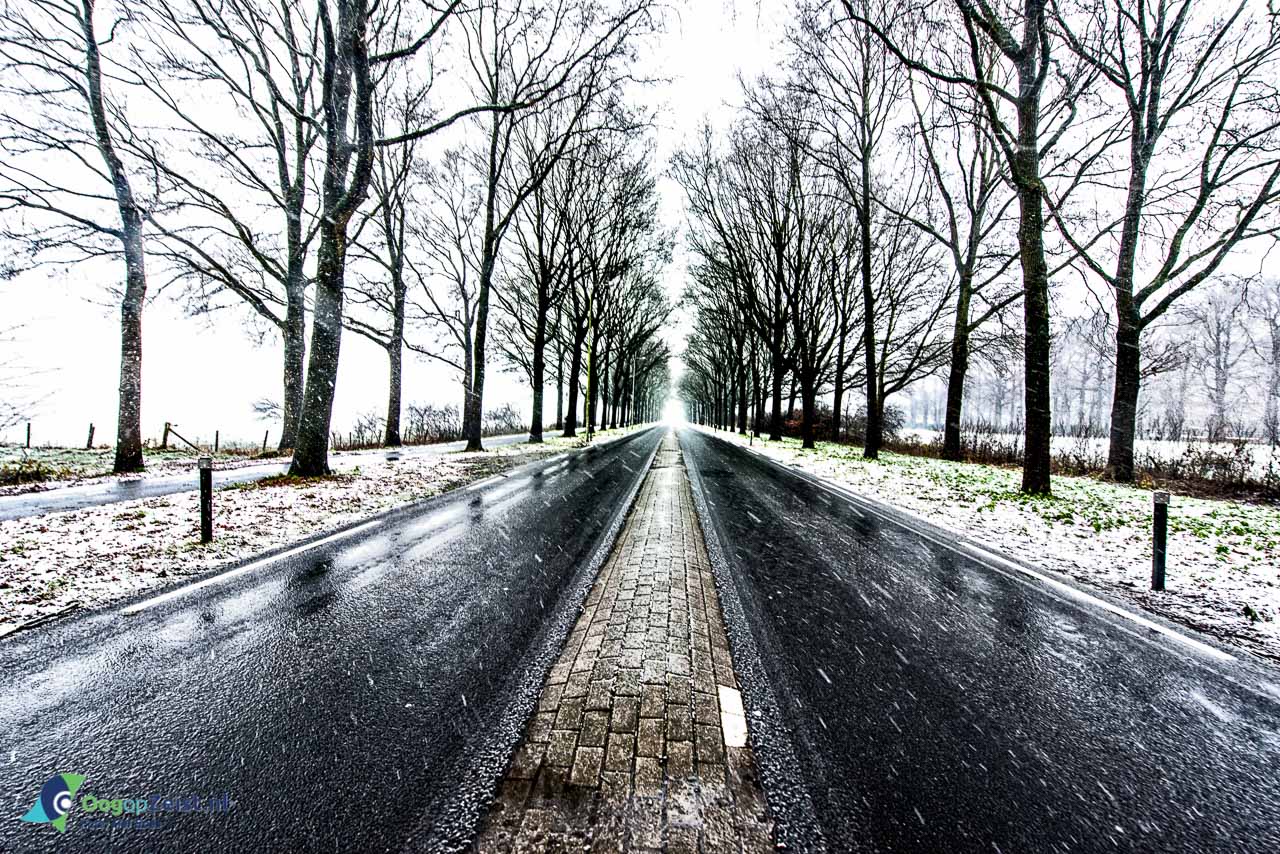 Winter in Zeist. Sneeuw op de koelaan