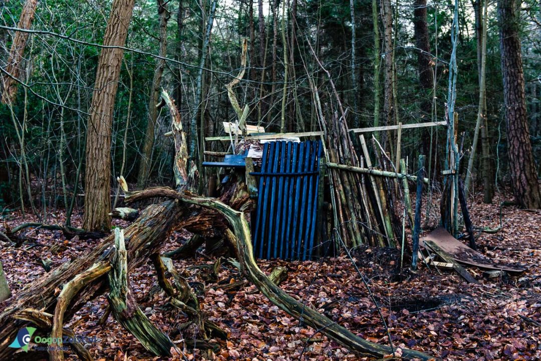 Jongens hut in het Zeister bossen bij de Lorenzlaan
