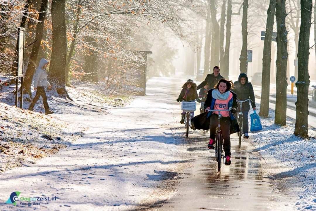 Winterdag verdwijnt als sneeuw voor de zon. - ZeistinBeeld.nl