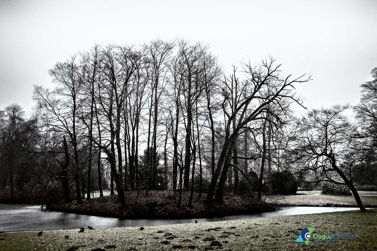 De winter heeft alle blaadjes van de bomen gekregen