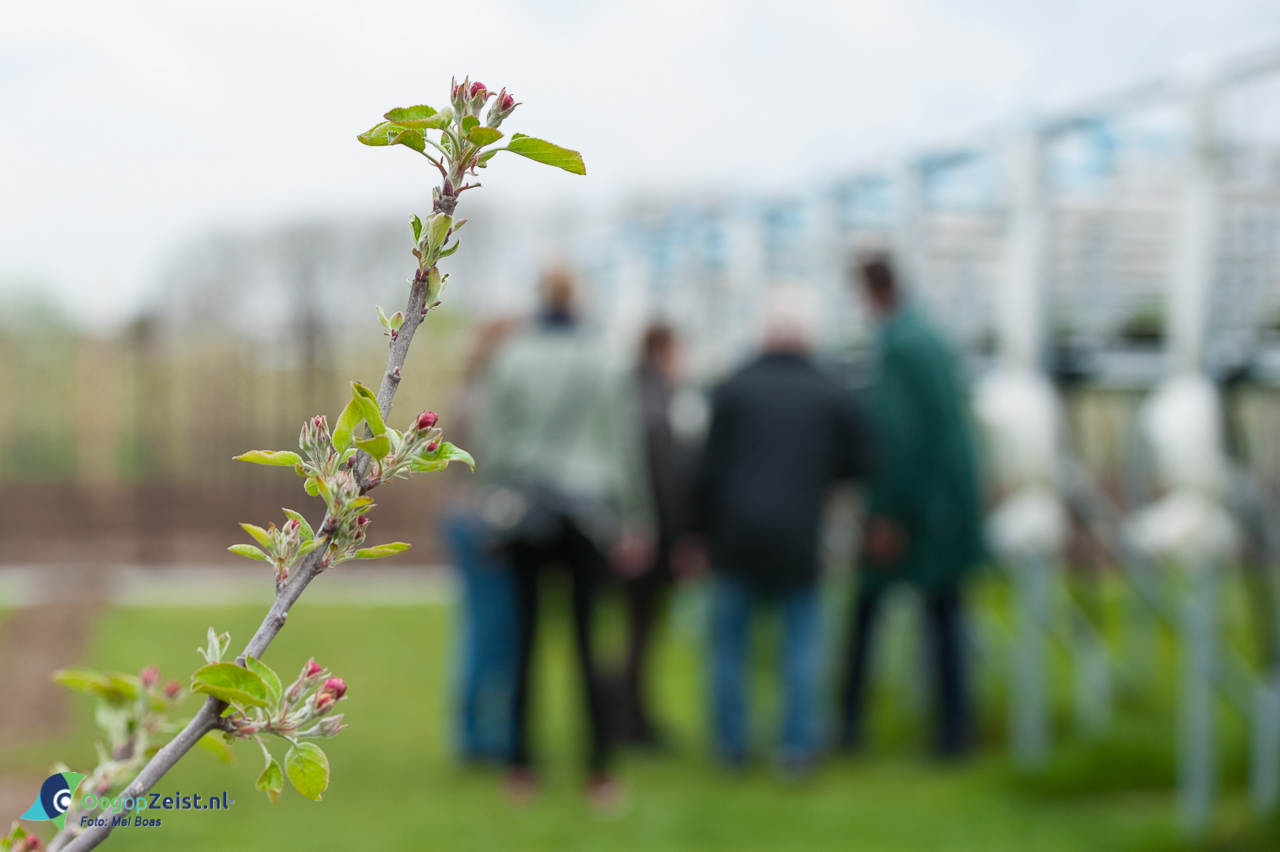 Bezoekers krijgen uitleg van Izaak bij Fruitbedrijf Westeneng Tolakkerlaan