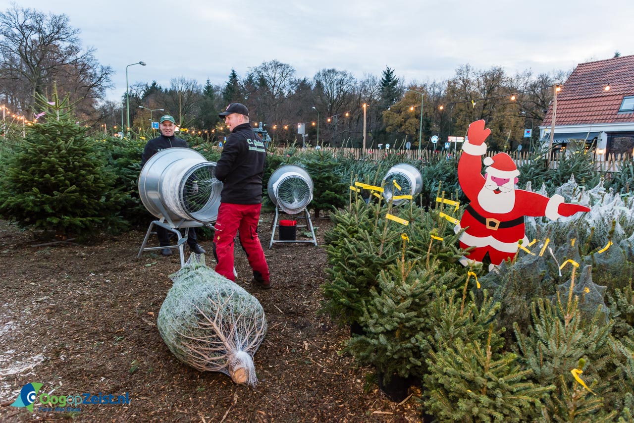 Cor Quint en zijn mannen zijn klaar voor het Kerstbomen seizoen