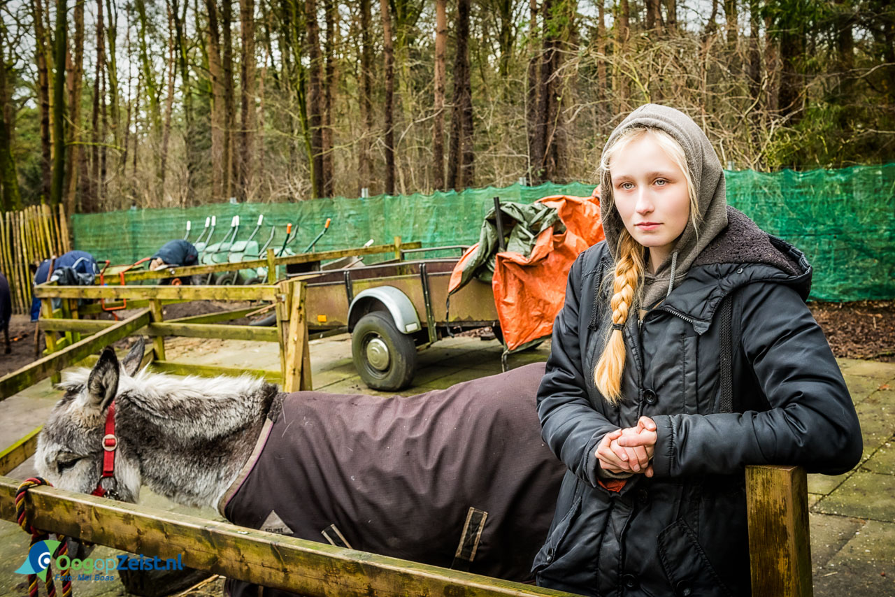 Martine loopt stage bij de Ezelsociteit. Zij volgt de opleiding dierverzorger in Houten