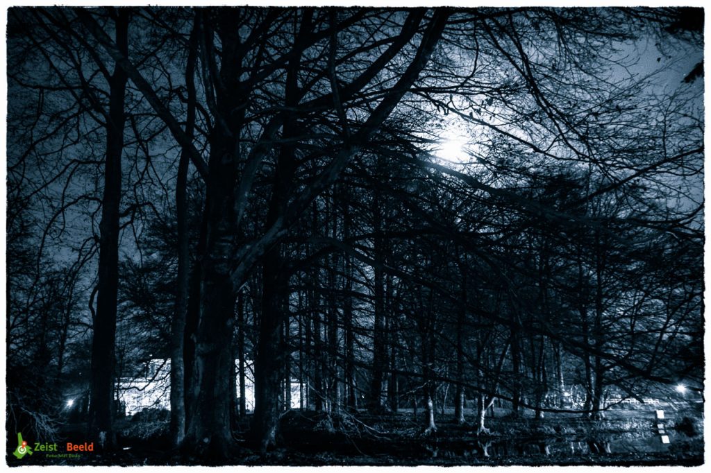 Sinterklaas - Zie De Maan Schijnt Door De Bomen